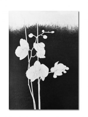 Marinou Elena 13 - Background with Orchid 10