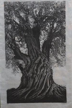 Gounari Dimitra 09 - Olive Tree